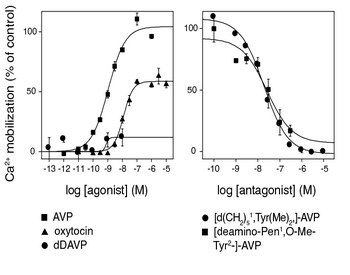 currentViewItem.Name
