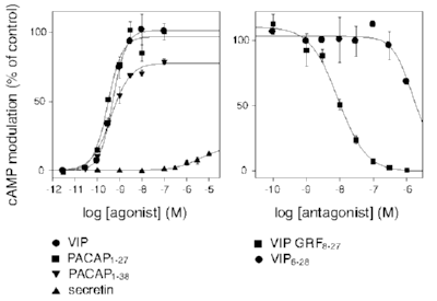 currentViewItem.Name