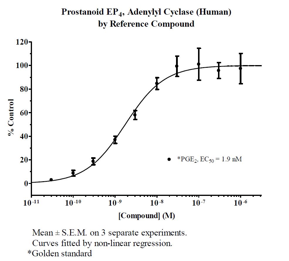 currentViewItem.Name